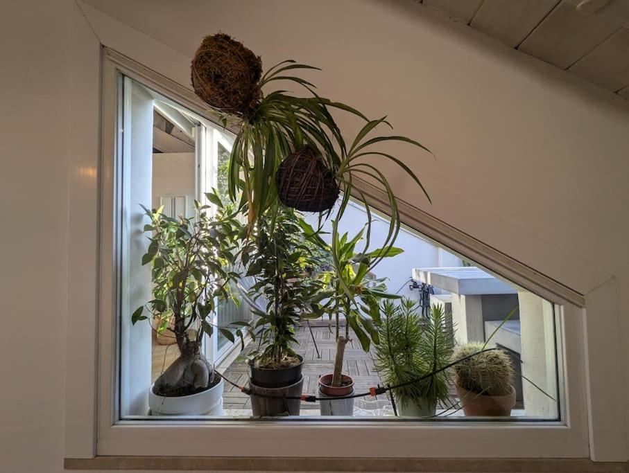 Apartment Superwhite Loft&terrace In Brera *